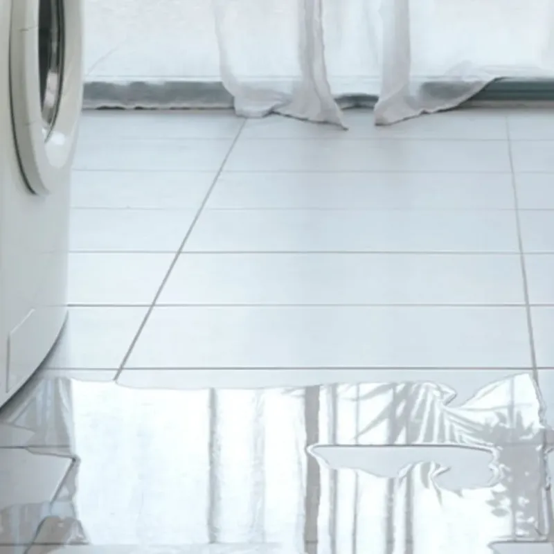 Appliance Leak Cleanup in Lucama, NC