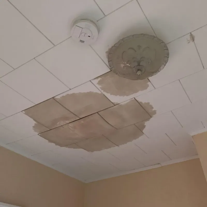 Ceiling Water Damage Repair in Lucama, NC