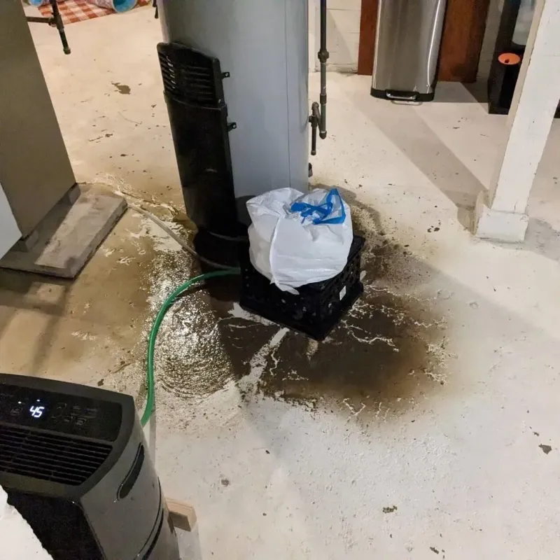 Sewage Backup Cleanup Service in Lucama, NC